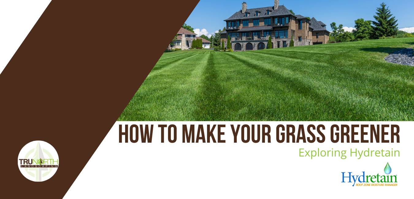 how to make your grass greener