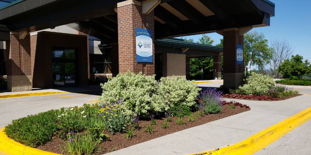 landscape bed with fresh mulch and plantings at commercial property