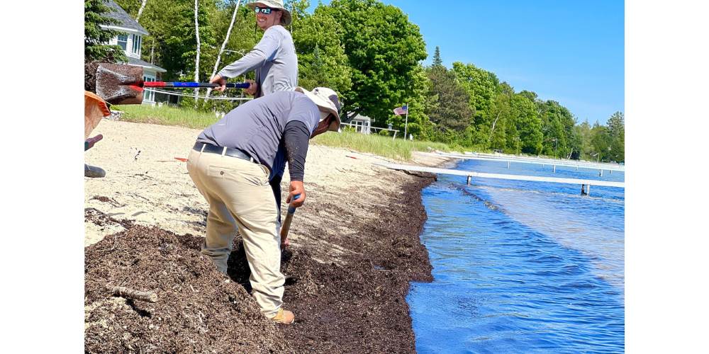 landscape maintenance team rakes beach