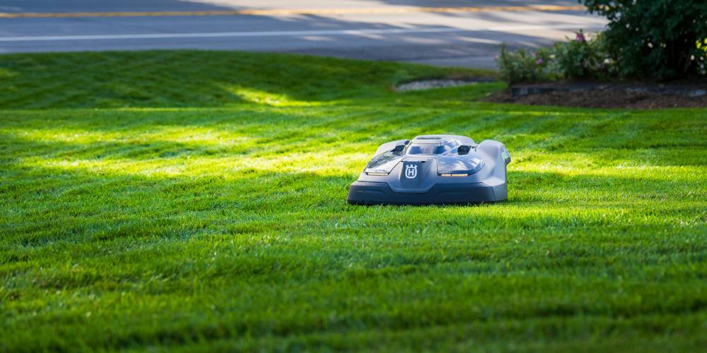 robotic lawn mower cuts grass near road