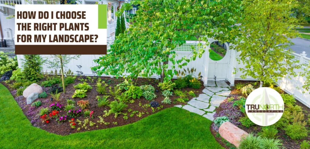 How Do I Choose the Right Plants for My Landscape? - TruNorth Landscaping