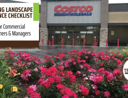 Your Spring Landscape Maintenance Checklist for Commercial Properties