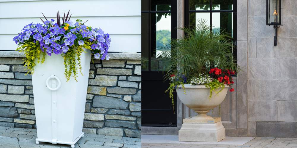 annual flowers planted in container planter gardens