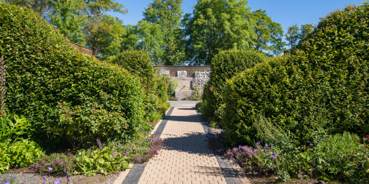 10 Commercial Landscape Design and Enhancement Ideas - TruNorth Landscaping