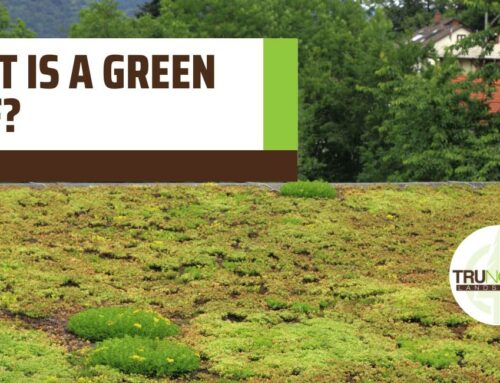 What is a Green Roof?