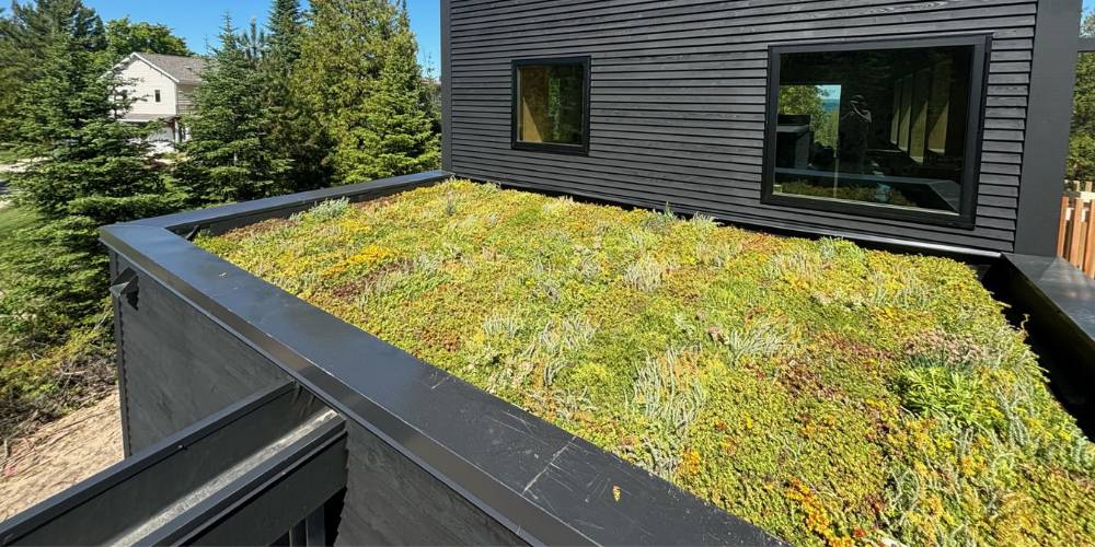 green roof with plantings