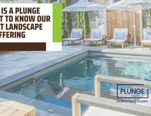 What is a Plunge Pool? Get to Know Our Newest Landscape Offering