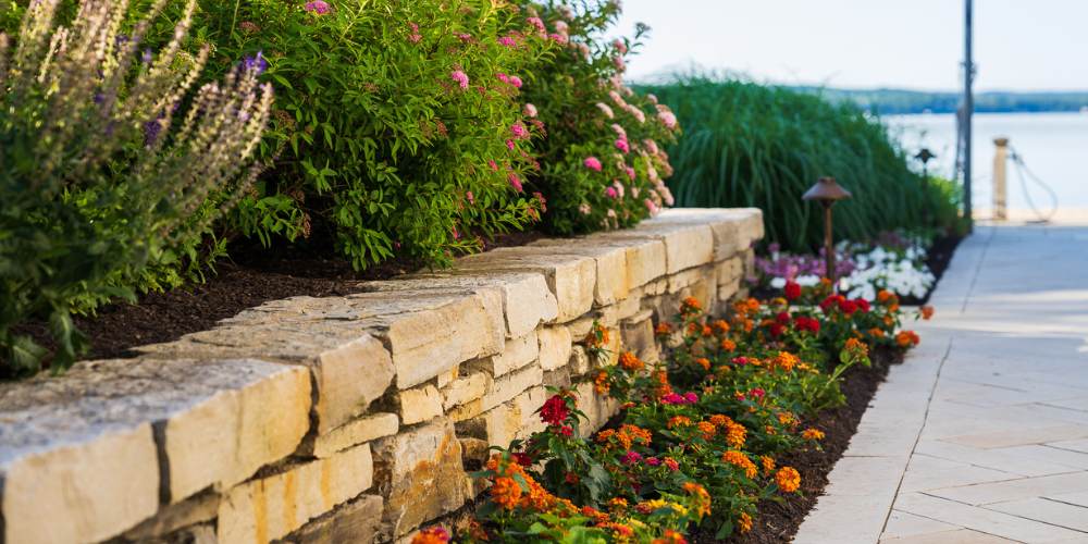 lantana in garden beds near walkway