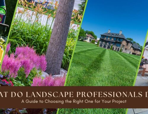 What Do Landscape Professionals Do? A Guide to Choosing the Right One for Your Project