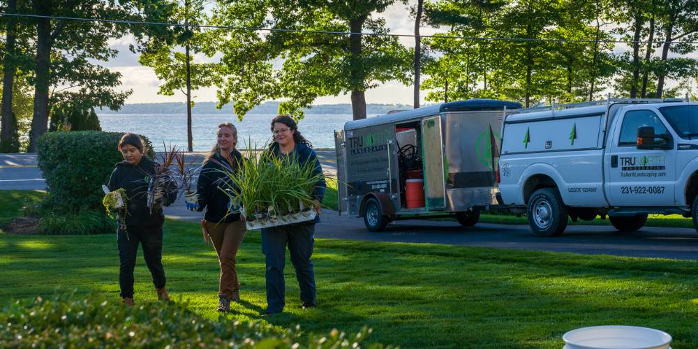 landscape installation team carries plants to be installed