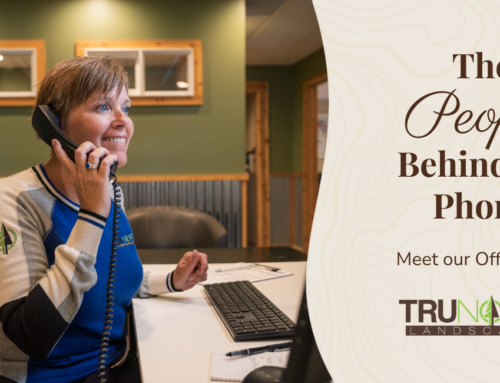 The Foundation of the Transformation: The People Behind the Phone