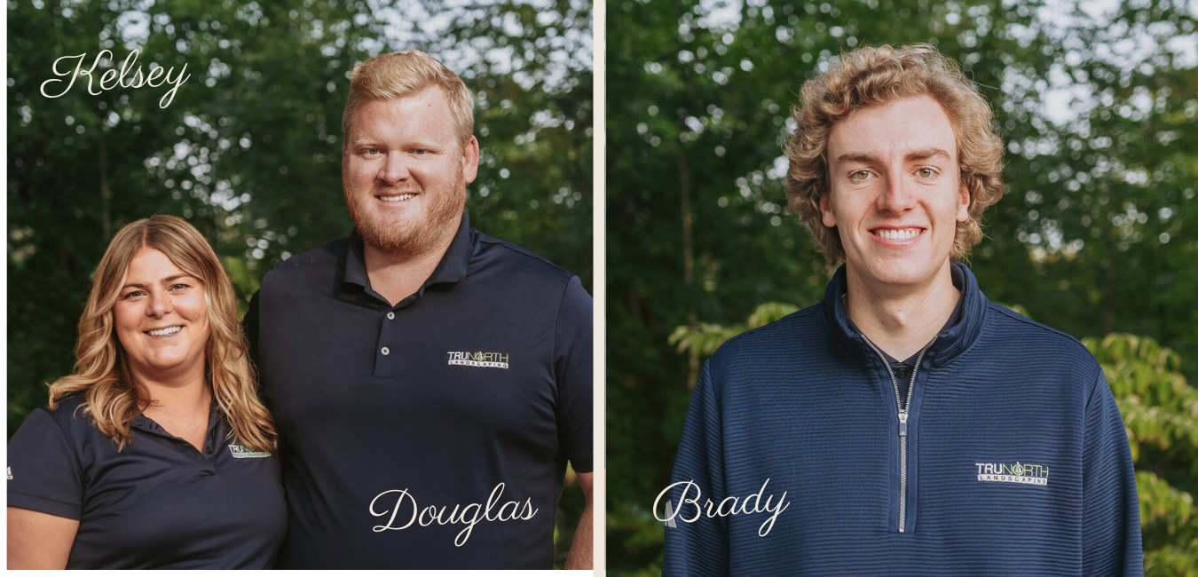 northern michigan landscape coordination