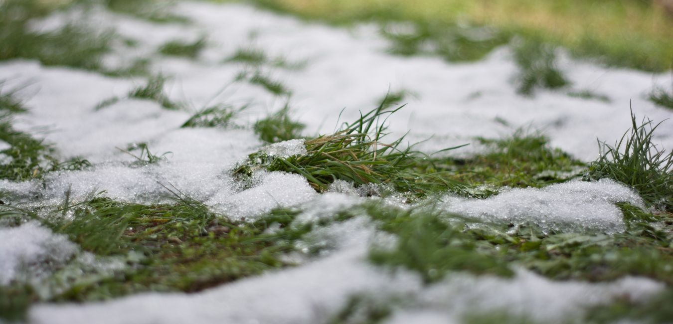 early spring landscape assessment