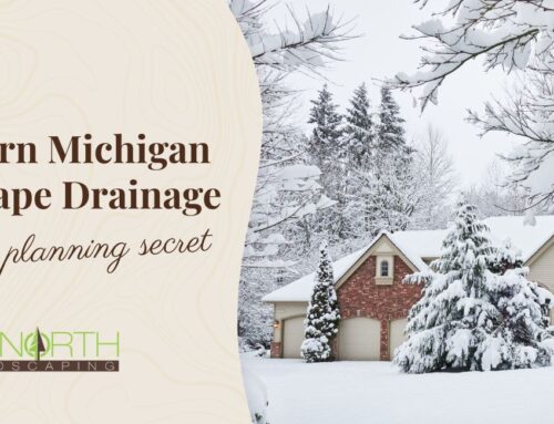 Solving Northern Michigan Yard Drainage