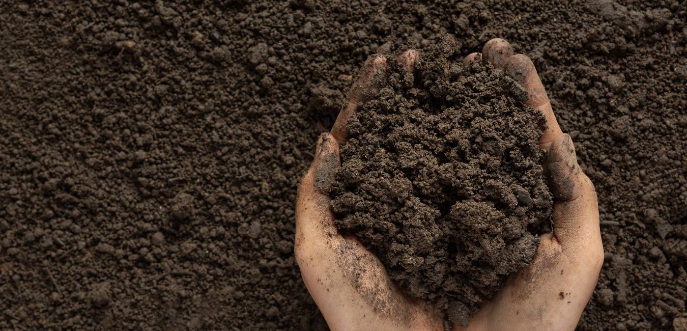 northern michigan soil