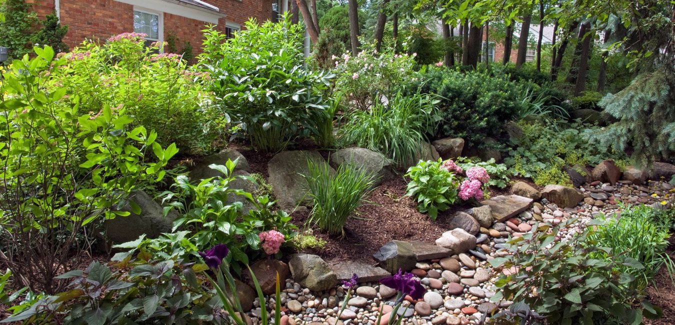 rain garden bed design
