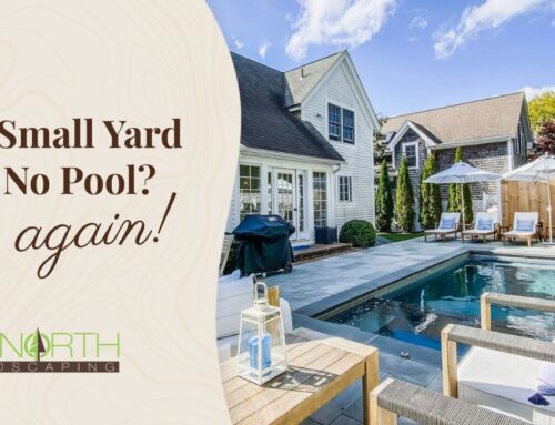 Does a Small Yard Mean No Pool? Think Again.