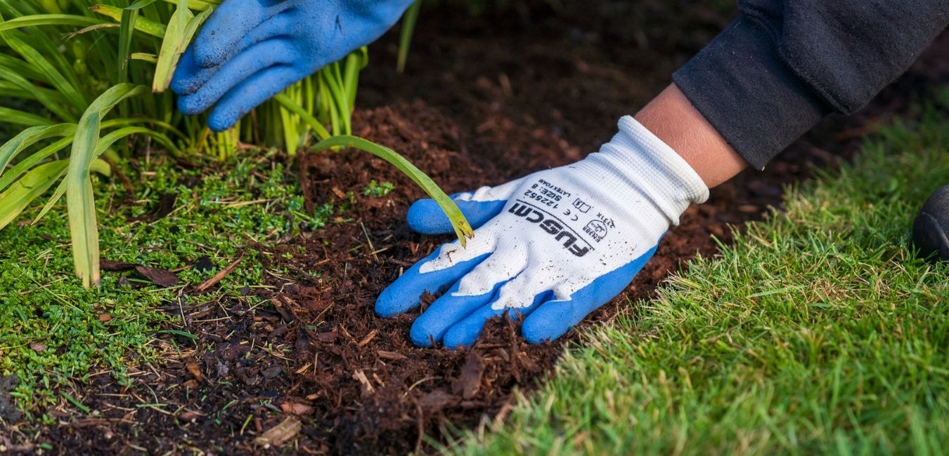 Proper spring garden maintenance and perennial pruning a Northern Michigan landscape
