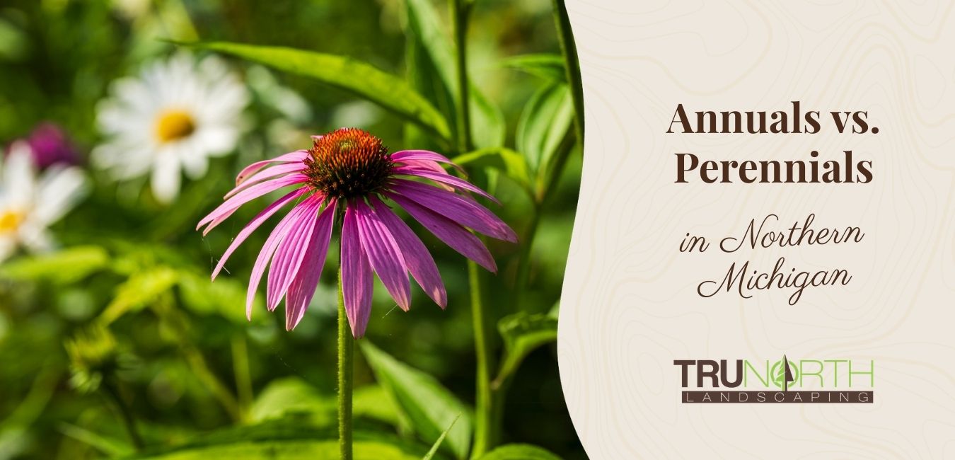 Luxury Northern Michigan home featuring a professional mix of annual and perennial flower beds