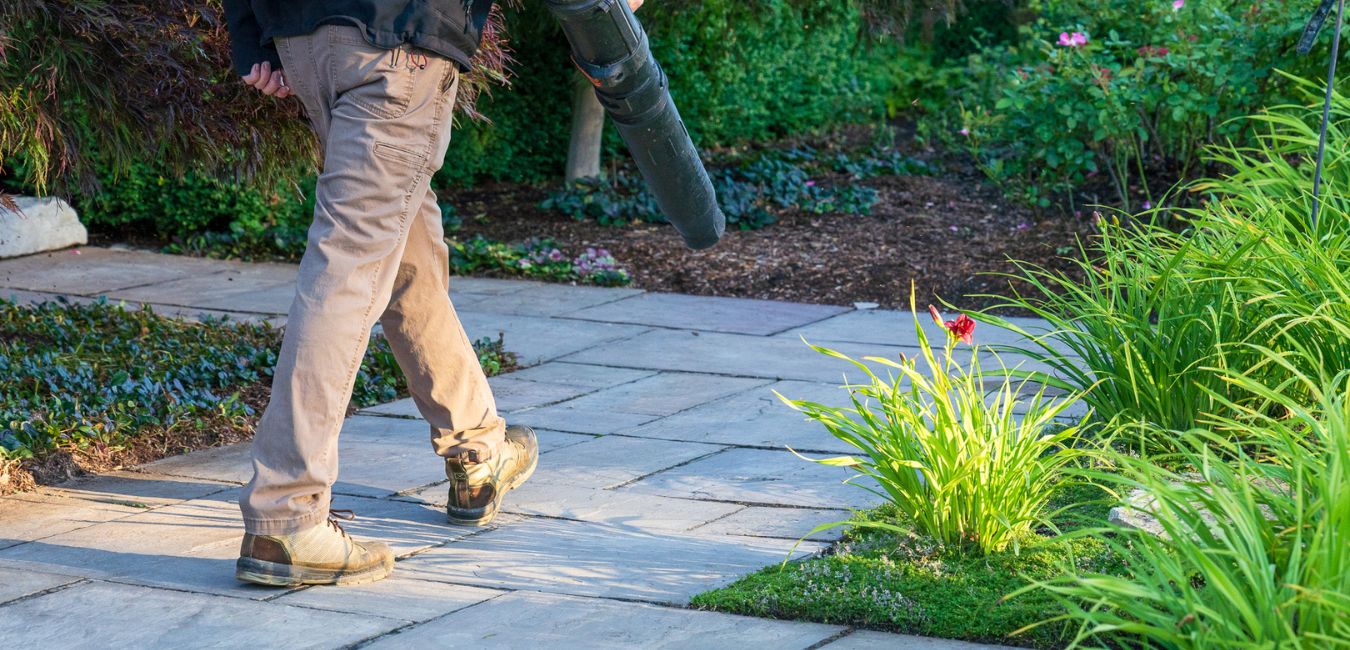 spring yard cleanup debris removal