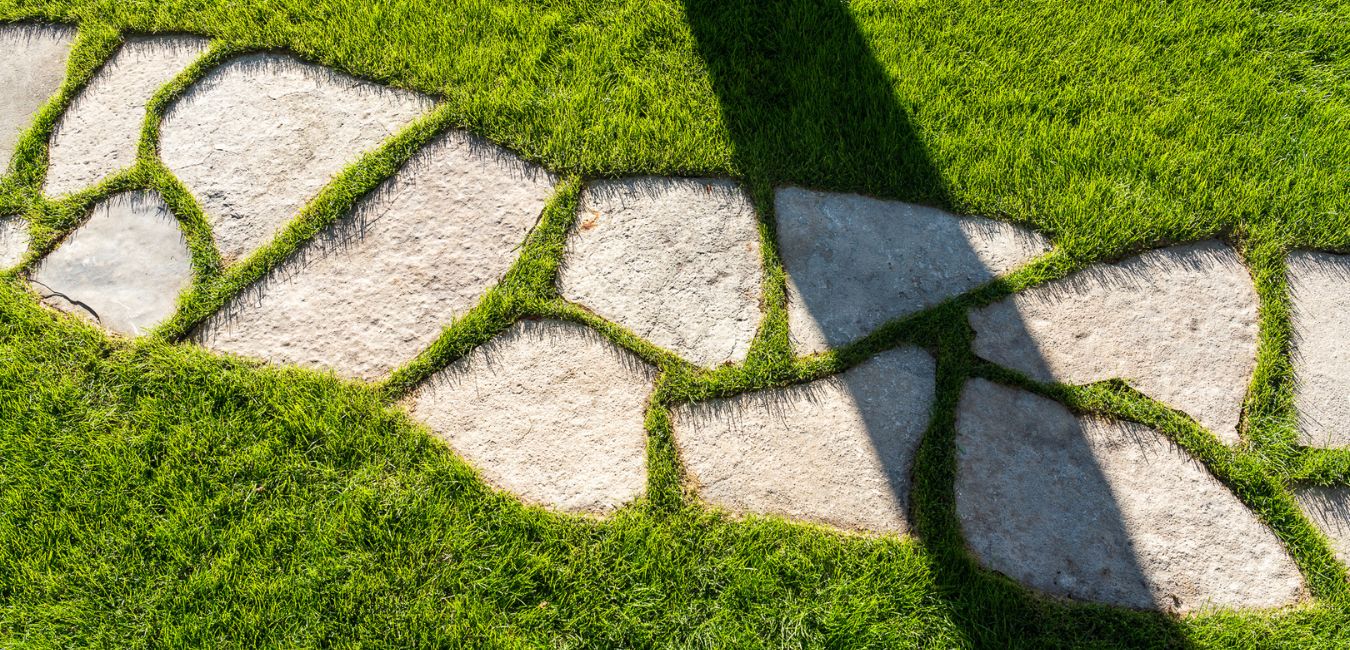 Spring yard cleanup property audit