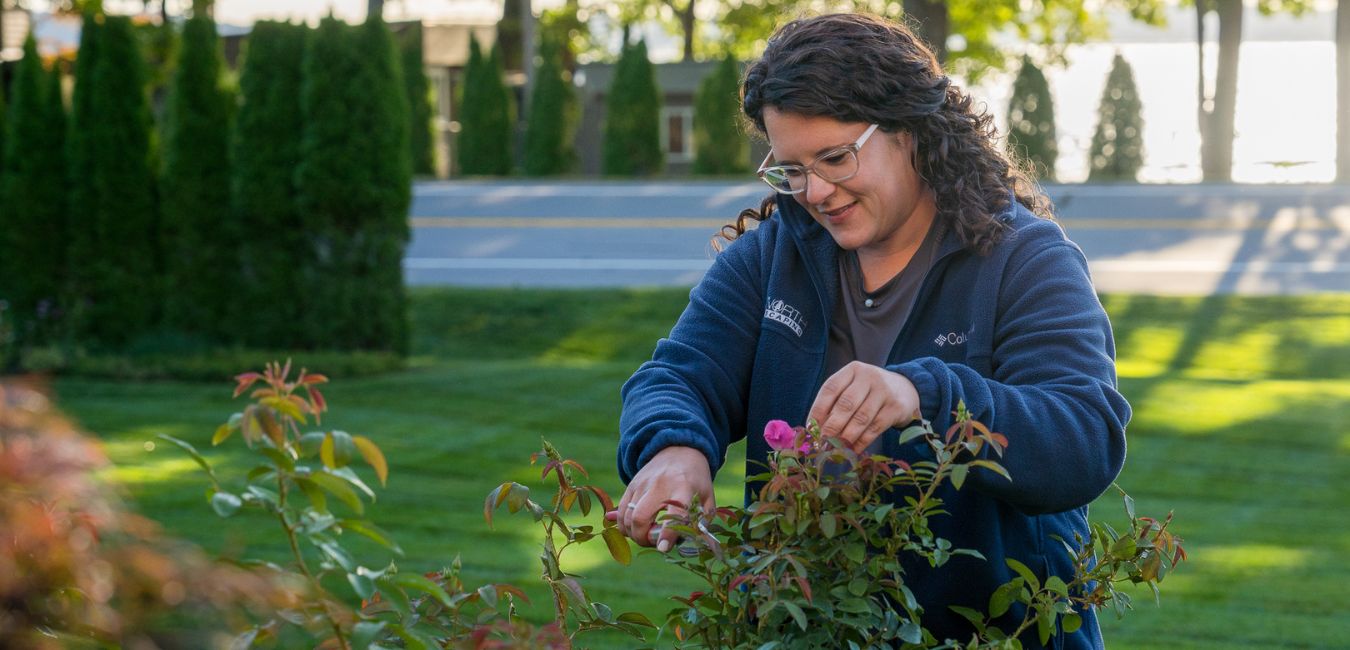 full service landscape maintenance michigan