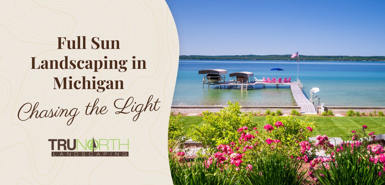 full sun landscaping in michigan
