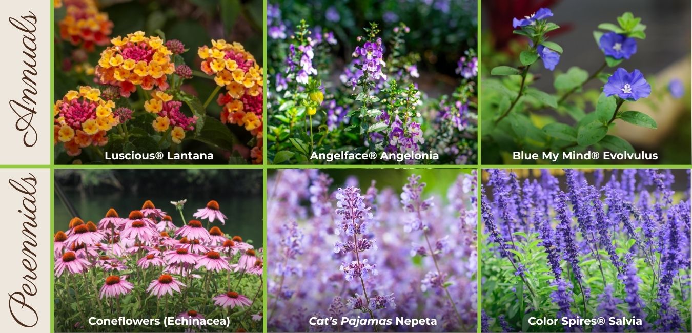 heat tolerant plants traverse city