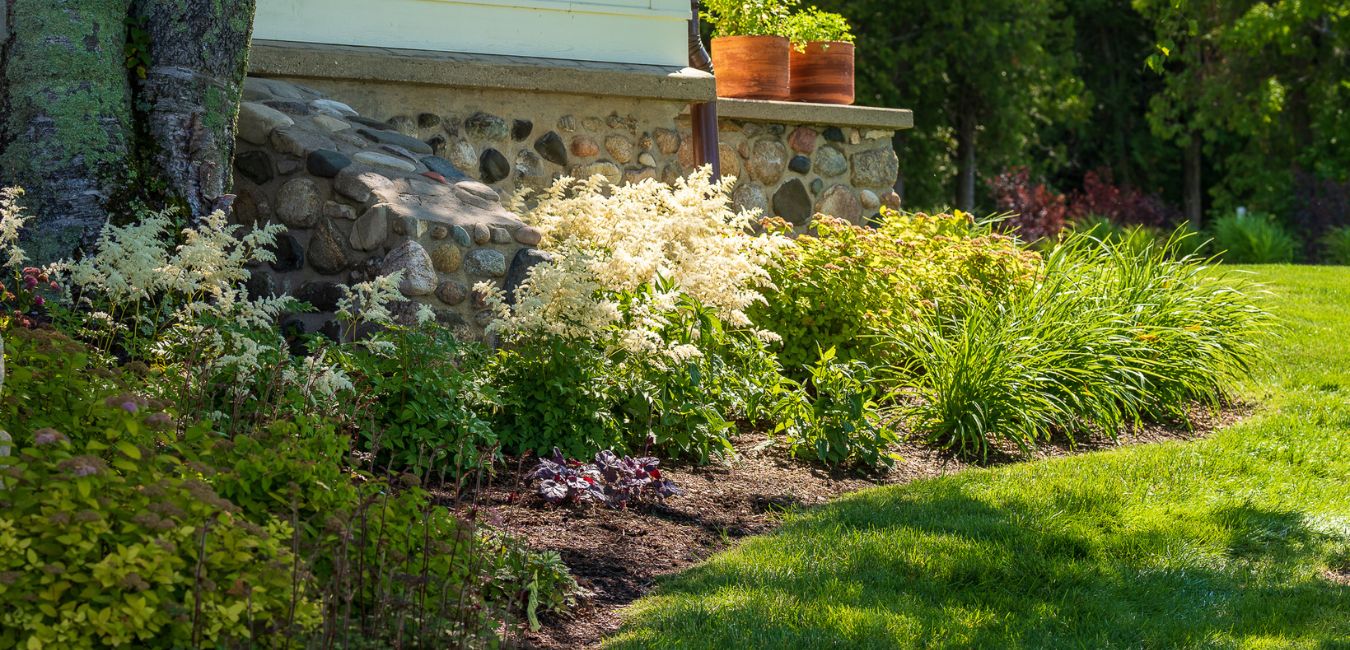 sun exposure consultation michigan