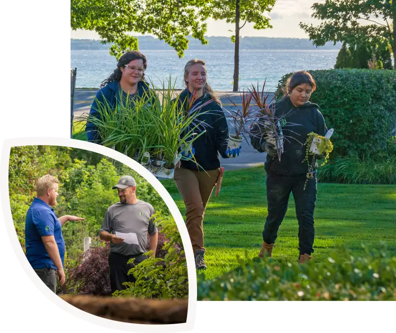 who-we-are-looking-for-girls-plants-guys-talking