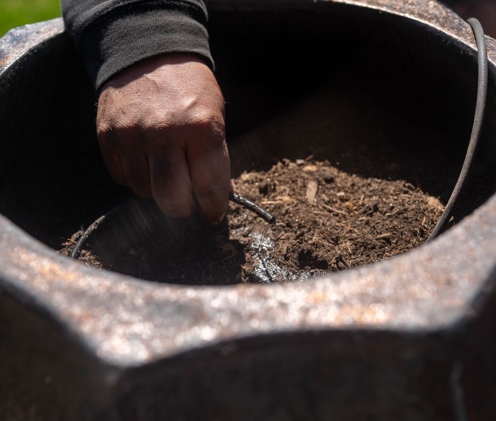 low-volume-drip-irrigation-garden-bed Flexible low-volume drip irrigation tubing running along the soil of a raised garden bed to feed plant roots