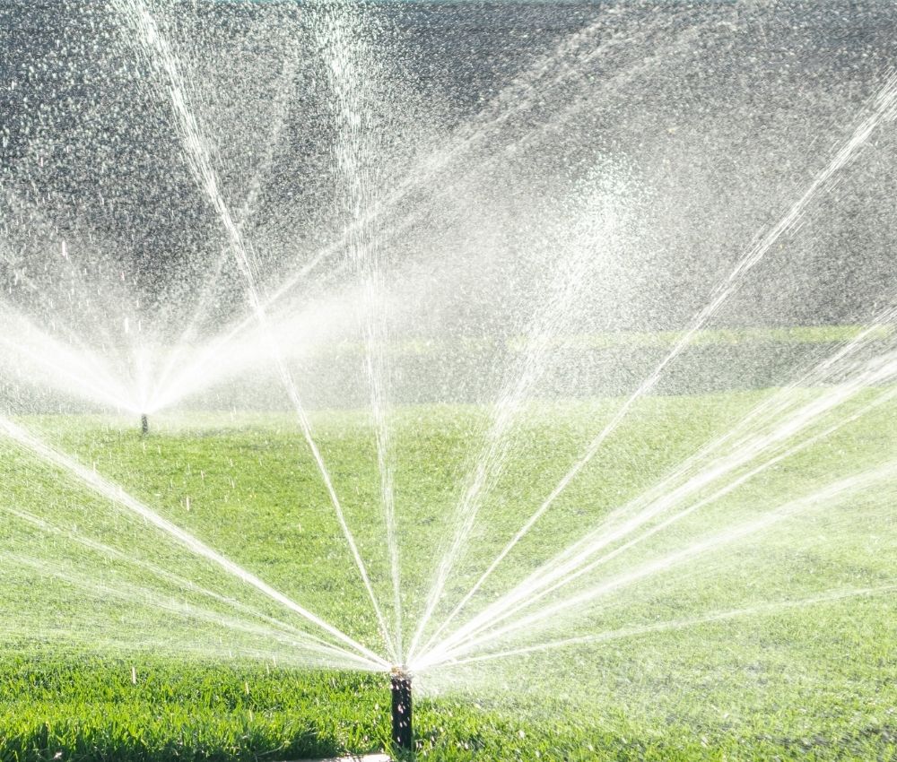 rotor-sprinker-head-large-lawn High-efficiency rotor sprinkler head shooting a wide, sweeping arc of water across a large backyard lawn