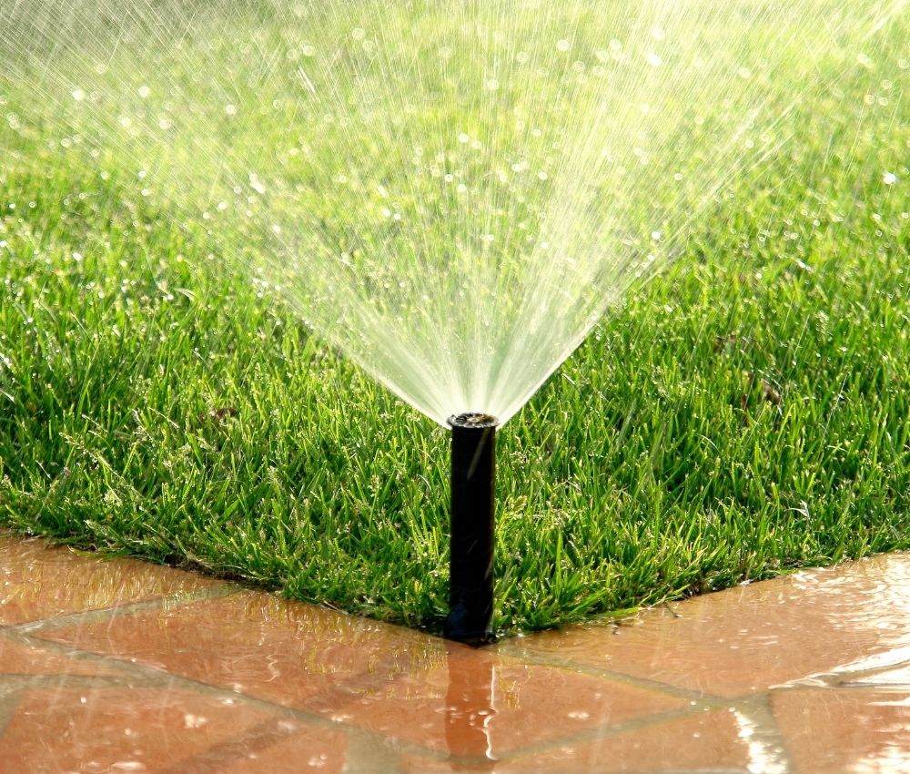 traditional-popup-sprinkler-head Standard pop-up sprinkler head watering a crisp turf border edge along a home walkway