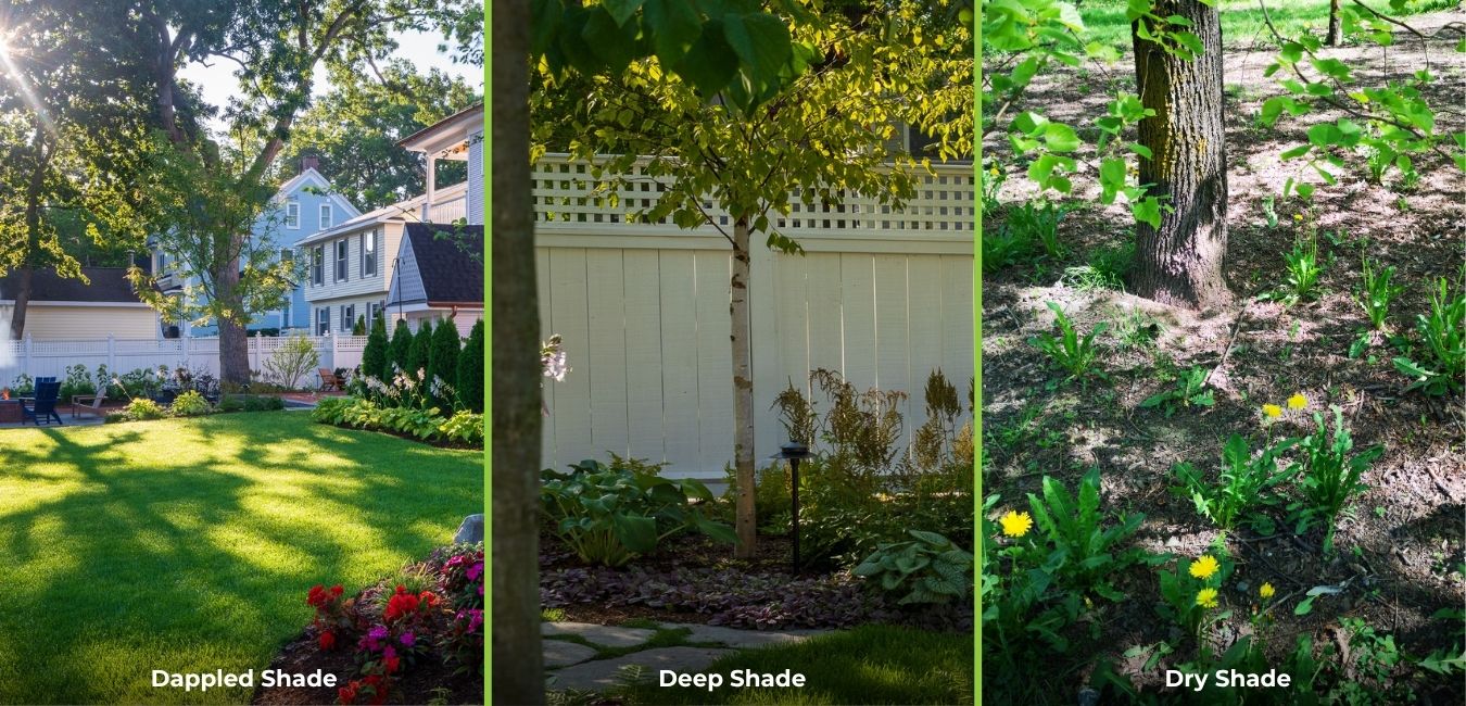 traverse city shade garden