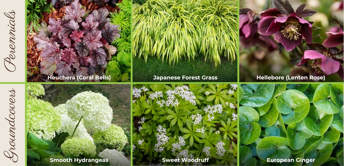 woodland garden layers leelanau
