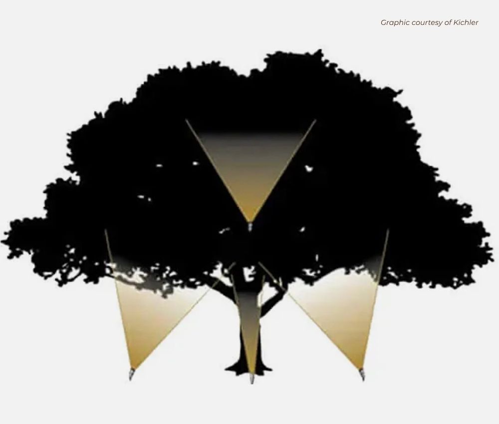 large tree canopy lighting diagram