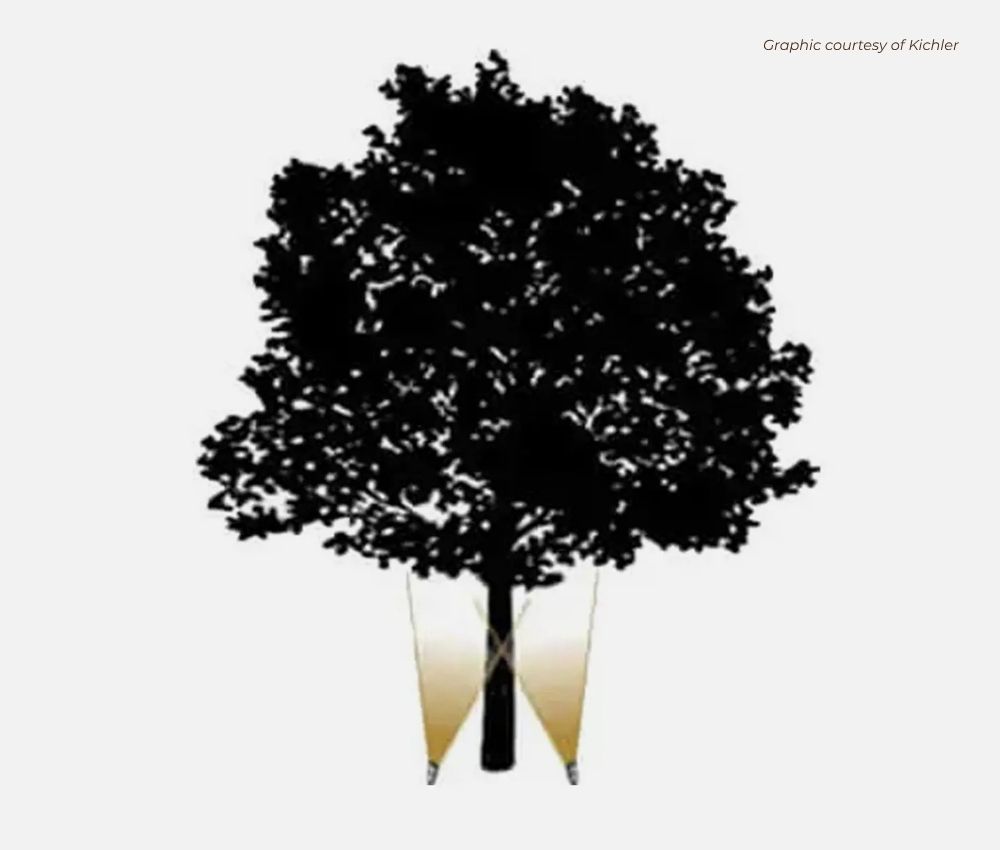 medium tree cross lighting design