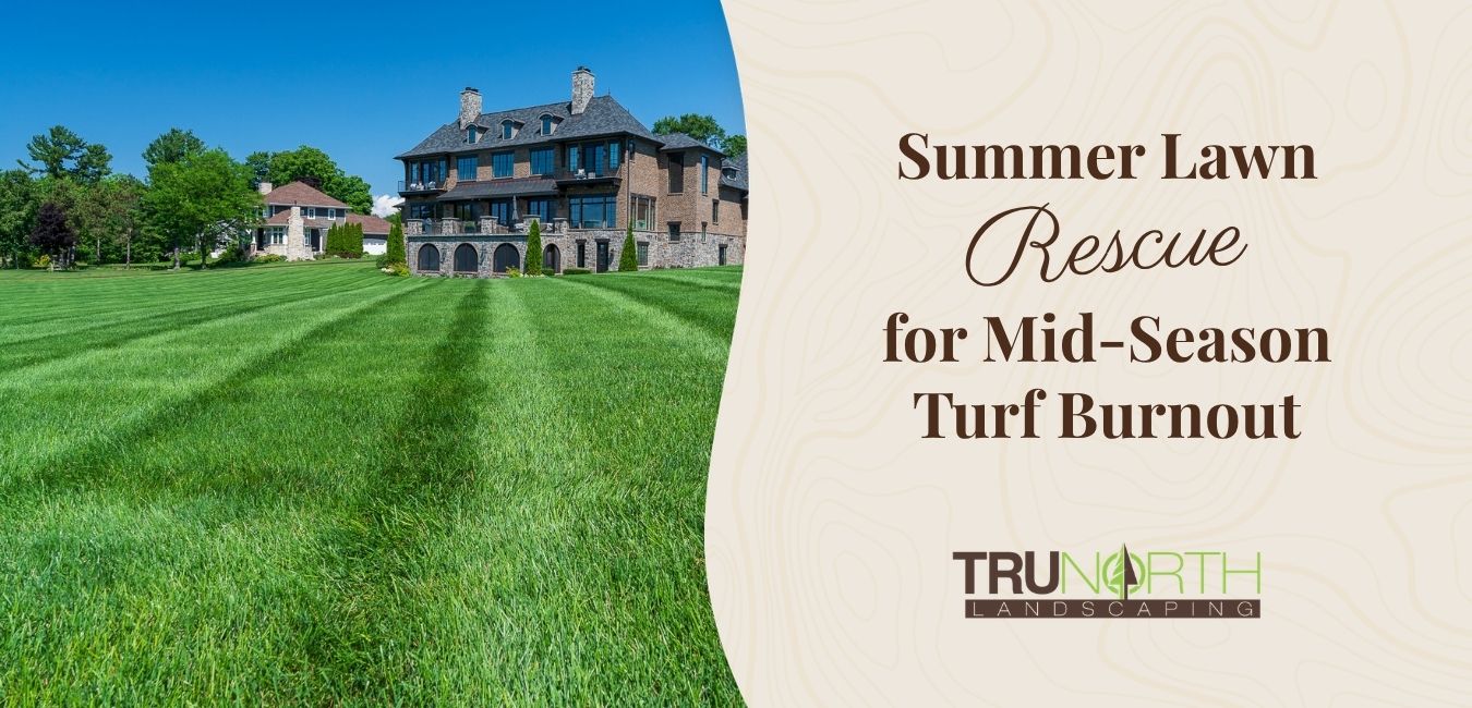 summer lawn rescue traverse city