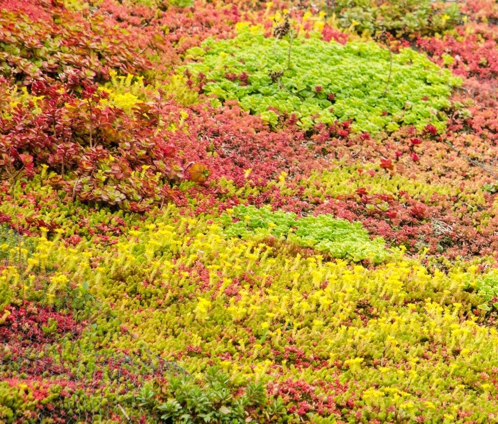 late-autumn-landscape-beds late autumn landscape beds