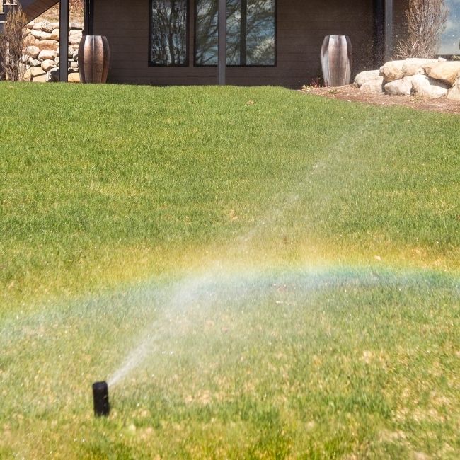 deep-soak-lawn-watering-schedule-august deep soak watering setup for cool season grass during late summer