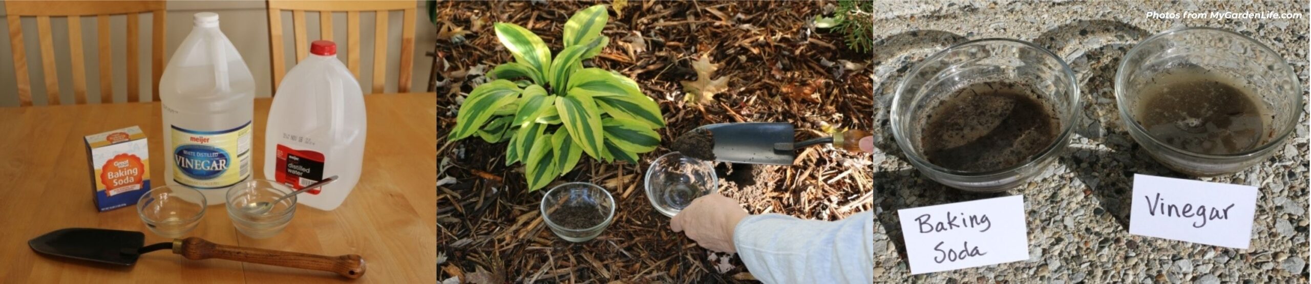 diy-vinegar-baking-soda-soil-ph-test testing soil pH at home with household vinegar and baking soda to check for high alkalinity