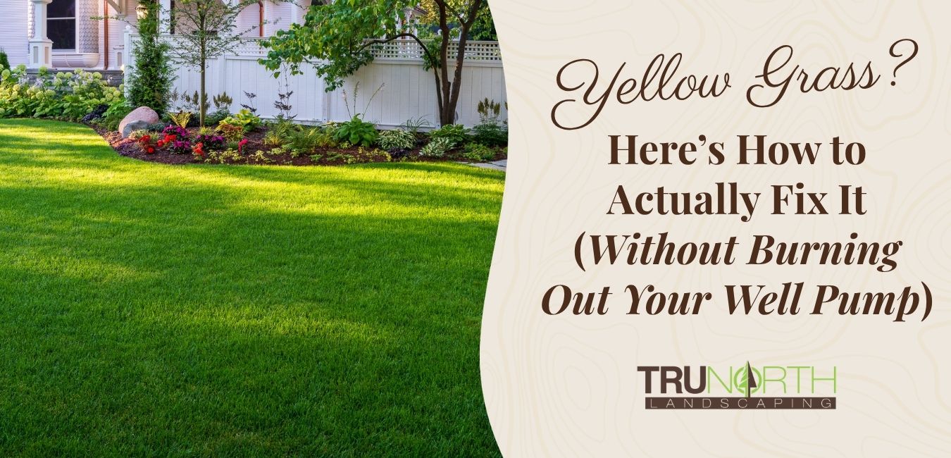 lush green lawn in a grand traverse county neighborhood with article title graphic overlay