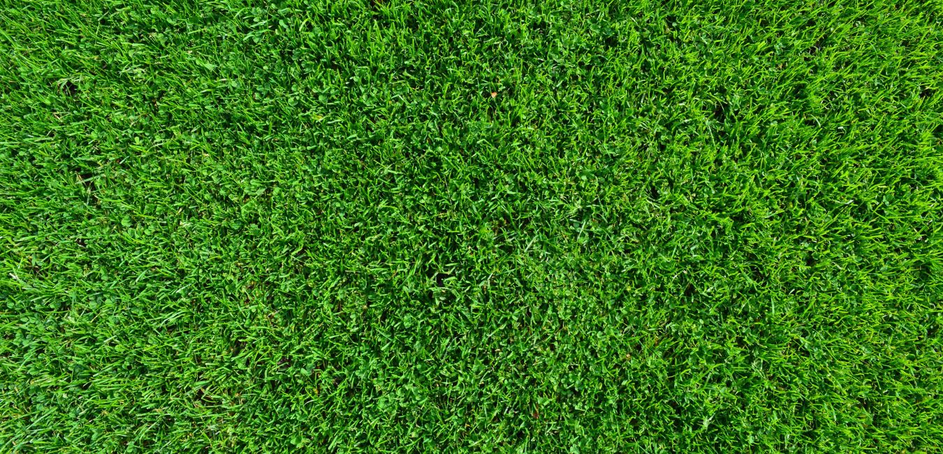 moisture-test-michigan-grass moisture test michigan grass