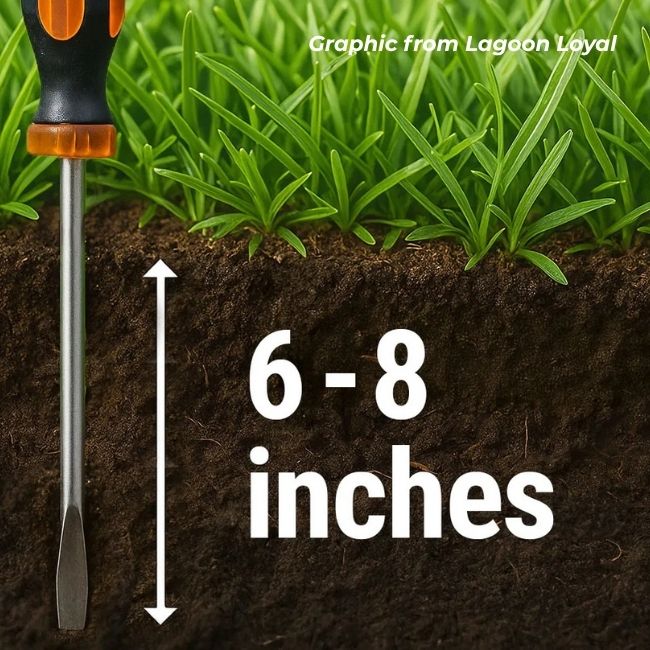 testing-compacted-lawn-soil-screwdriver testing hard compacted lawn soil depth using a screwdriver