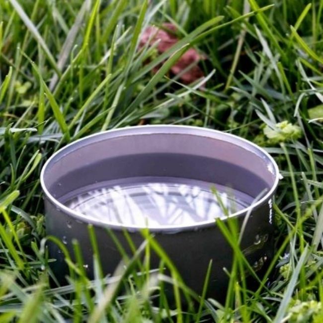 tuna-can-irrigation-test-lawn-water-measure tuna can placed on turf grass measuring half an inch of irrigation water