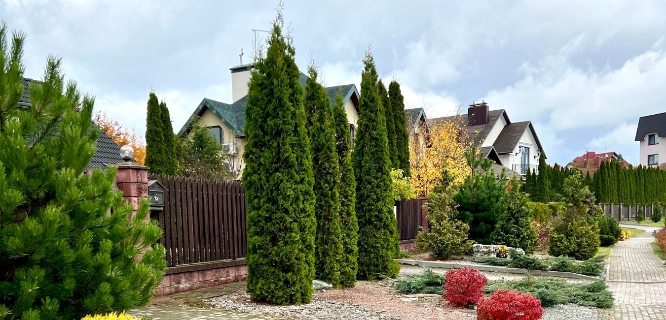 layer-evergreens-in-grand-traverse-landscape layer evergreens in grand traverse landscaping